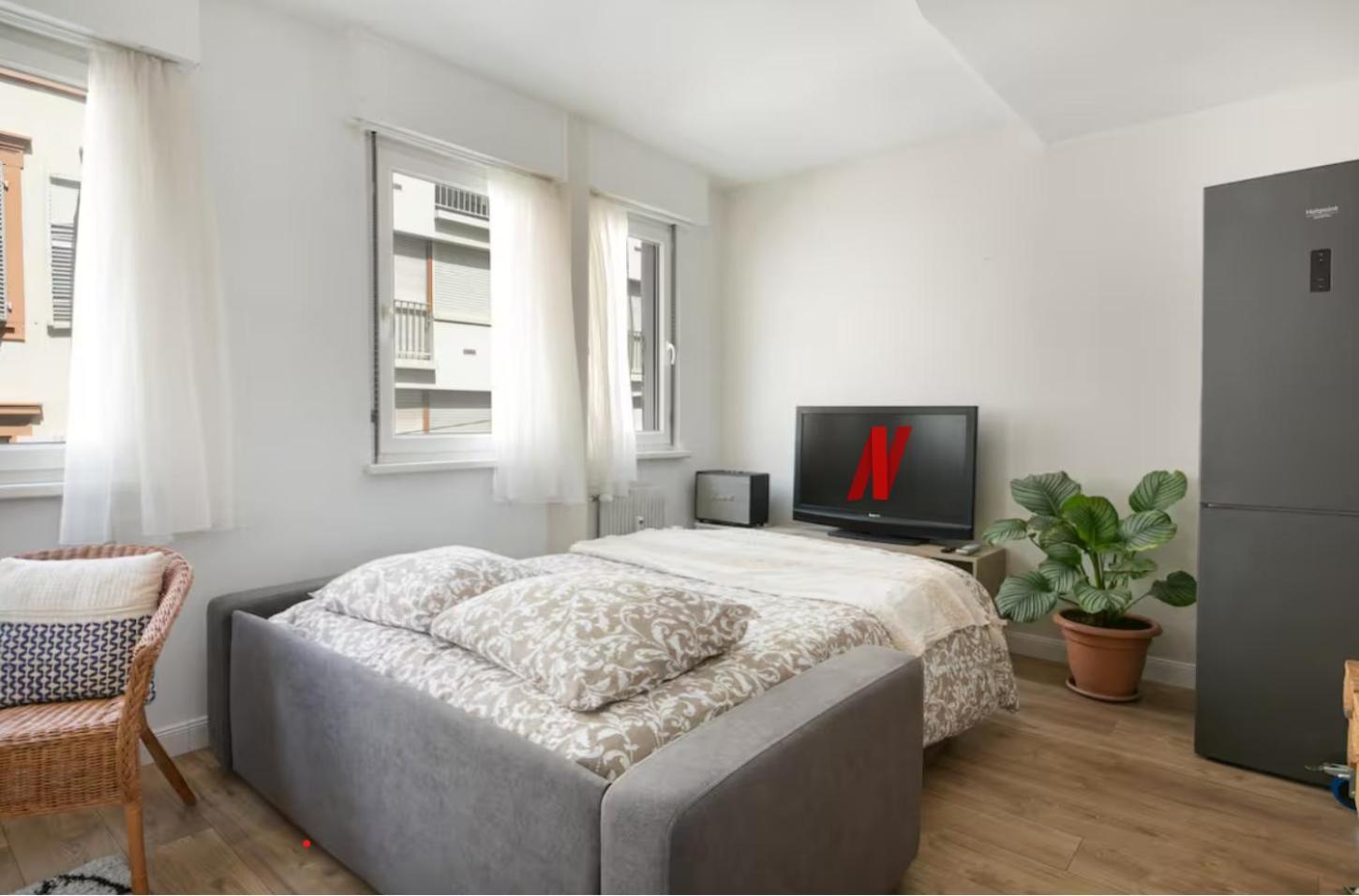 Le Cocon - Proche Gare - Lumineux & Centre - Commerces A Proximite * Strasbourg